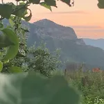 вино от глухарчета * Borovo (Plovdiv)