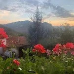 Holiday home вино от глухарчета *
