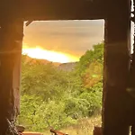вино от глухарчета