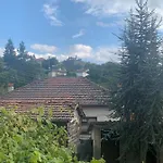 вино от глухарчета