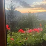 вино от глухарчета * Borovo (Plovdiv)