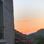 вино от глухарчета Feriehus Borovo (Plovdiv)