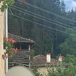вино от глухарчета Feriehus