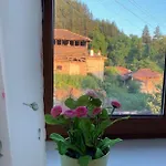 вино от глухарчета Borovo (Plovdiv)