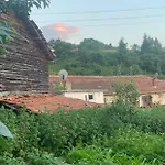 вино от глухарчета Borovo (Plovdiv)
