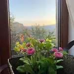 вино от глухарчета Holiday home
