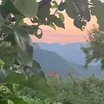 Holiday home вино от глухарчета Borovo (Plovdiv)
