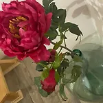 вино от глухарчета Holiday home *