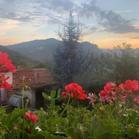 Holiday home вино от глухарчета *