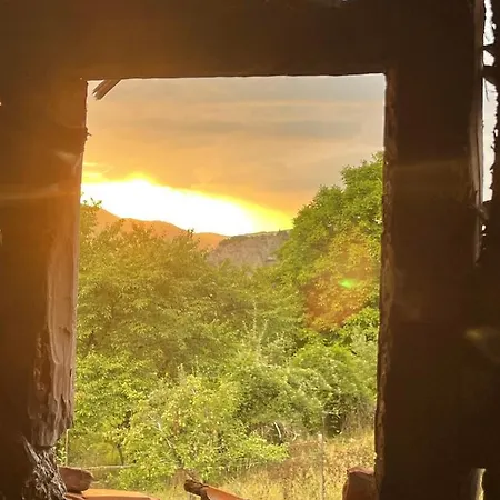вино от глухарчета