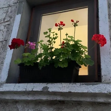 вино от глухарчета Feriehus *