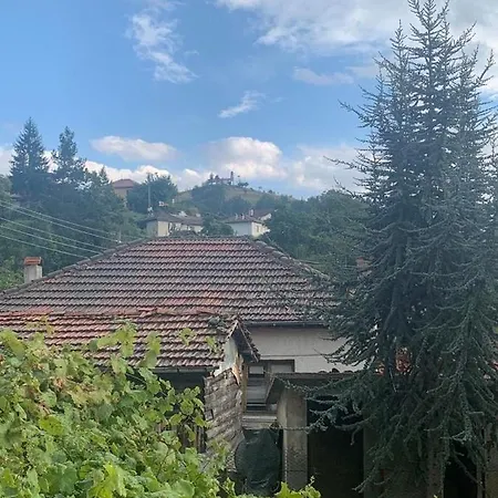 вино от глухарчета