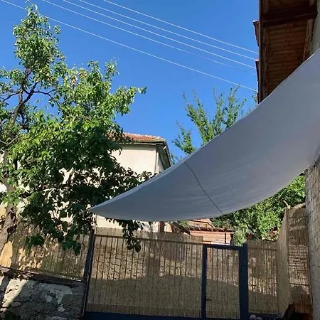 вино от глухарчета Vakantiehuis Borovo (Plovdiv)