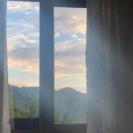 Holiday home вино от глухарчета *