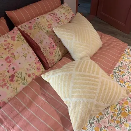 Vakantiehuis вино от глухарчета *