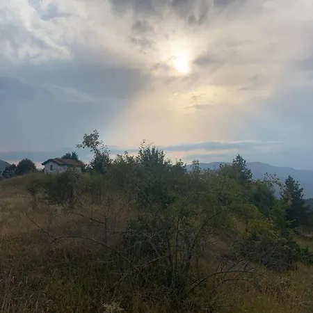вино от глухарчета Vakantiehuis
