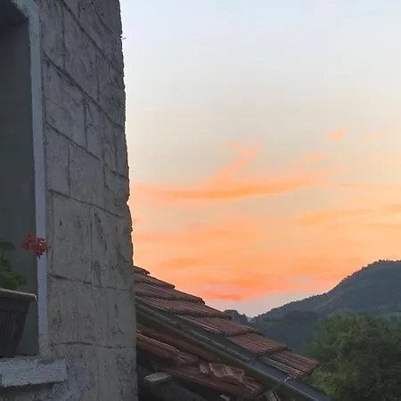 вино от глухарчета Vakantiehuis Borovo (Plovdiv)