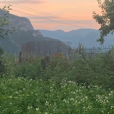 Vakantiehuis вино от глухарчета