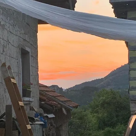 Vakantiehuis вино от глухарчета Borovo (Plovdiv)
