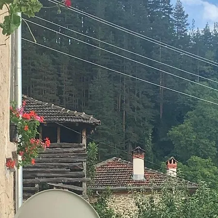 вино от глухарчета Vakantiehuis
