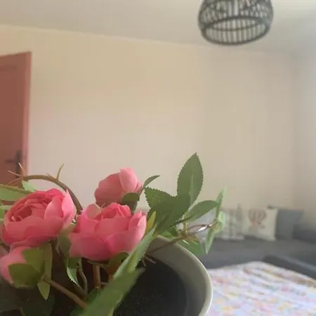 Holiday home вино от глухарчета *