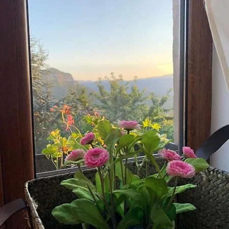 вино от глухарчета Vakantiehuis