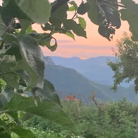 Vakantiehuis вино от глухарчета Borovo (Plovdiv)
