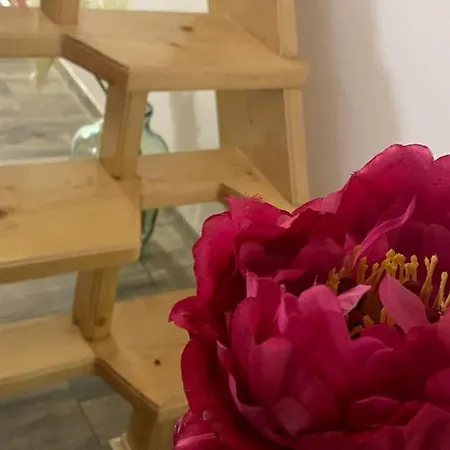 вино от глухарчета Borovo (Plovdiv)