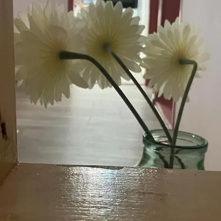 вино от глухарчета Holiday home *