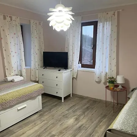 вино от глухарчета * Borovo (Plovdiv)