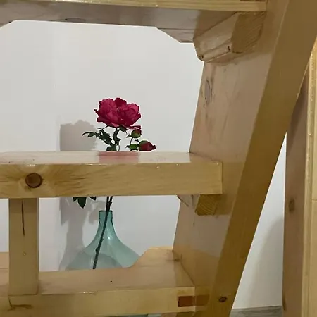 вино от глухарчета * Borovo (Plovdiv)