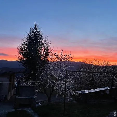 вино от глухарчета Feriehus