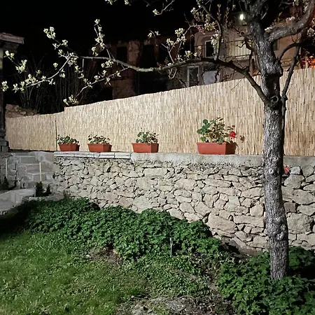 вино от глухарчета * Borovo (Plovdiv)