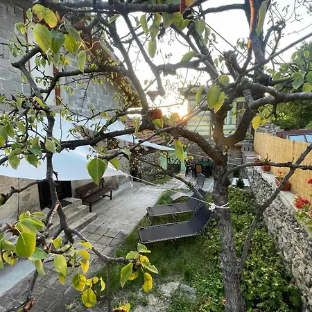 Holiday home вино от глухарчета