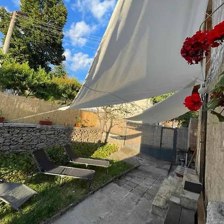 вино от глухарчета Holiday home Borovo (Plovdiv)