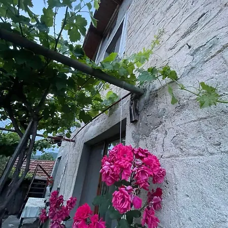 Holiday home вино от глухарчета Borovo (Plovdiv)