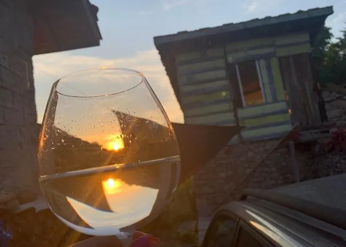 вино от глухарчета Feriehus *