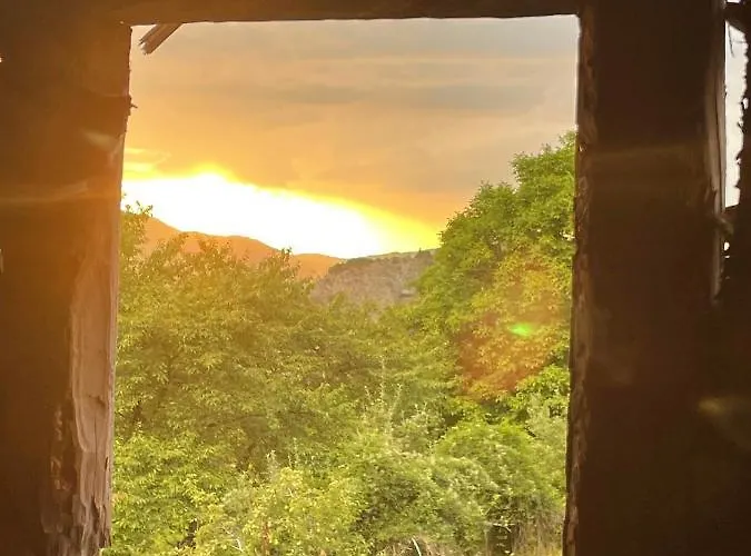 вино от глухарчета