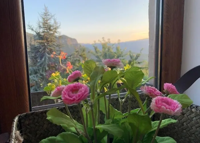 вино от глухарчета Borovo (Plovdiv)