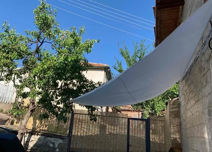 вино от глухарчета Feriehus Borovo (Plovdiv)