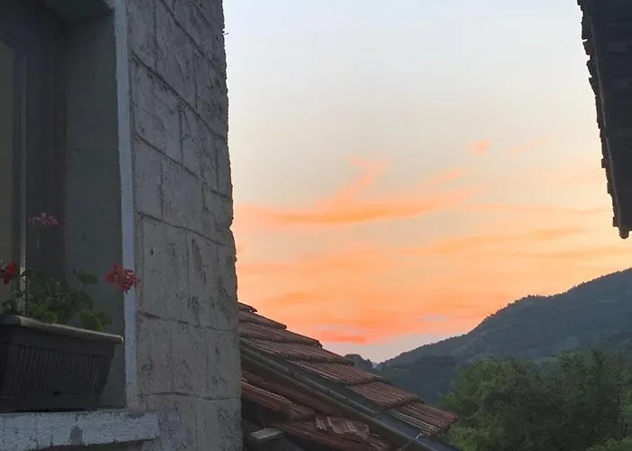 вино от глухарчета Feriehus Borovo (Plovdiv)