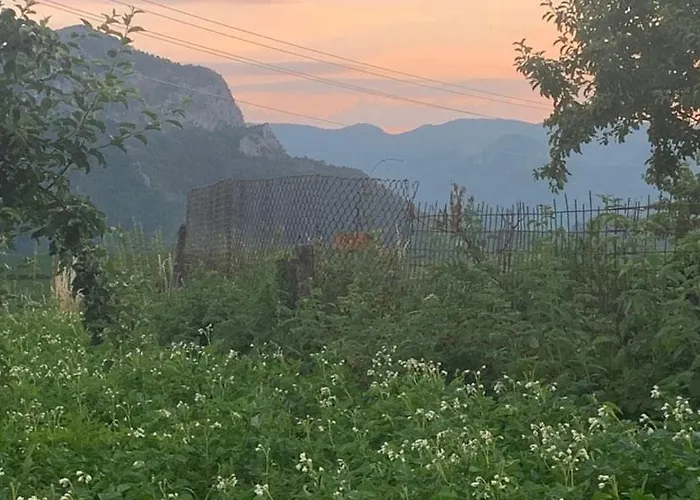 Feriehus вино от глухарчета