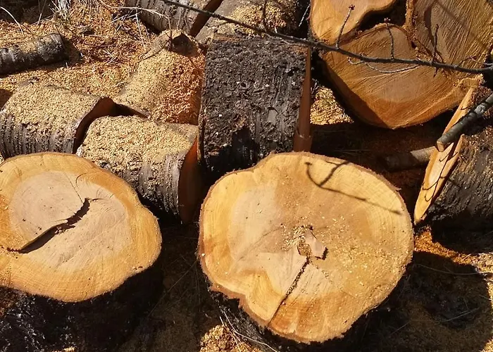 вино от глухарчета Borovo (Plovdiv)