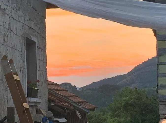 Feriehus вино от глухарчета Borovo (Plovdiv)