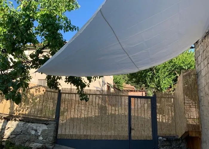 вино от глухарчета * Borovo (Plovdiv)