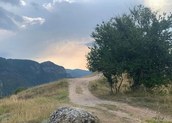 вино от глухарчета Borovo (Plovdiv)