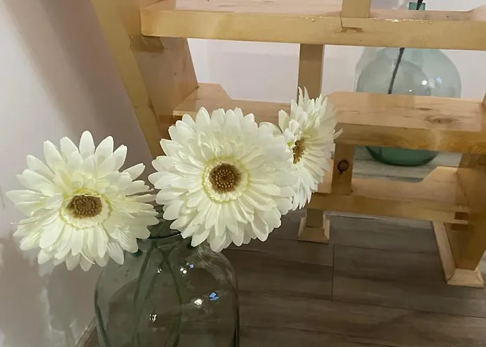 вино от глухарчета * Borovo (Plovdiv)