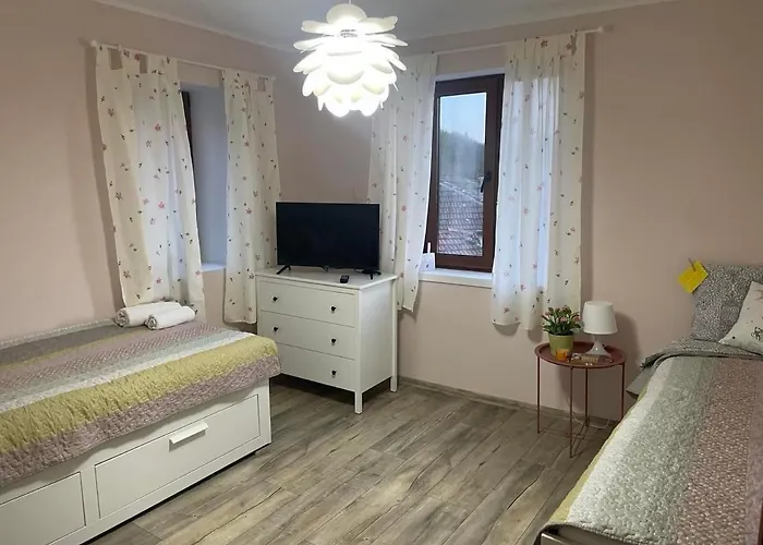 вино от глухарчета * Borovo (Plovdiv)