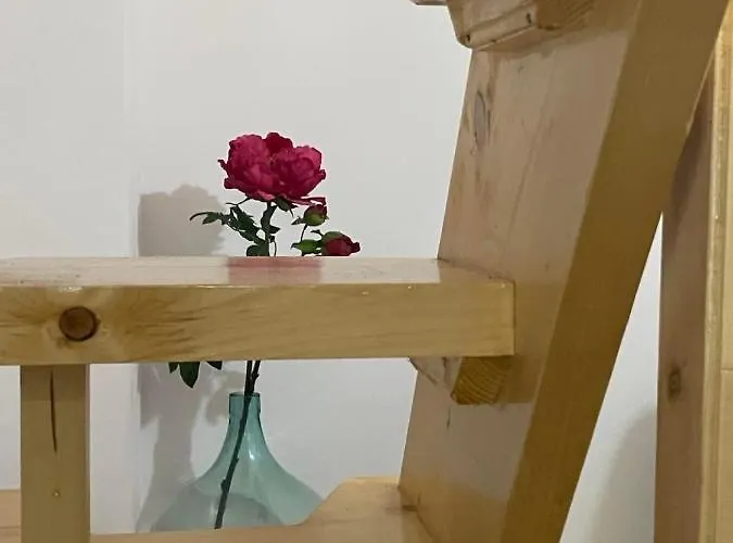 вино от глухарчета * Borovo (Plovdiv)