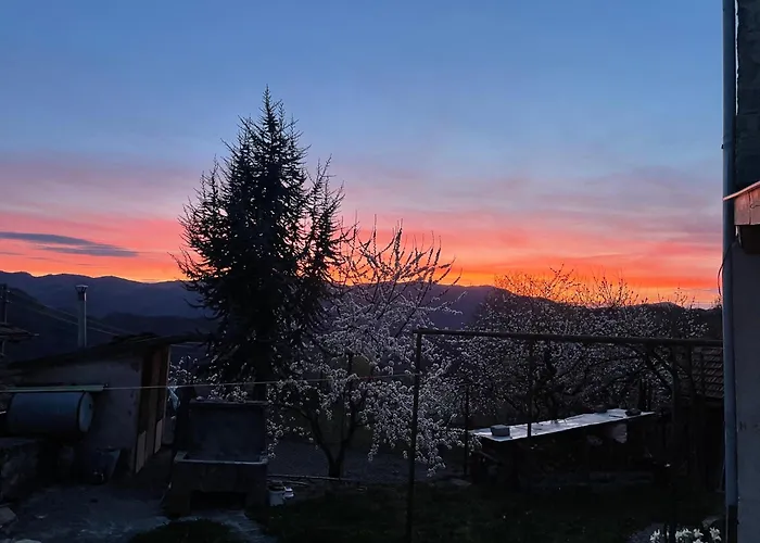 вино от глухарчета Feriehus